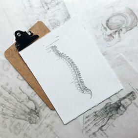 La différence entre spondylolyse et spondylolisthésis