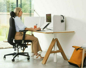 Chaise bureau ergonomique