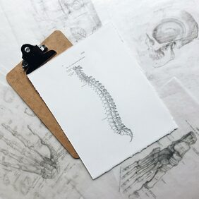 Het verschil tussen spondylolyse en spondylolisthesis